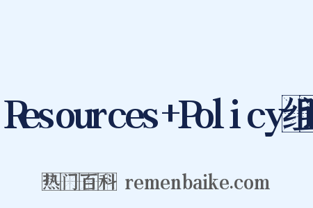 Resources+Policy组词是什么意思的图片